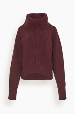 High Neck Sweater In Bordeaux