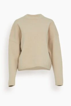 Sian Boiled Wool Cocoon Knit Top In Camel