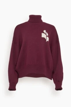 Nash Turtleneck Sweater In Dark Plum