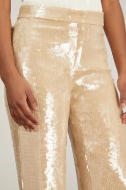 NILI LOTAN Yseult Sequins Pant In Khaki 11 NILI LOTAN Yseult Sequins Pant In Khaki -All Seasons Style nili lotan yseult sequins pant in khaki 4