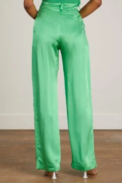 Wide Leg Pant In Midori -All Seasons Style sablyn wide leg pant in midori 3