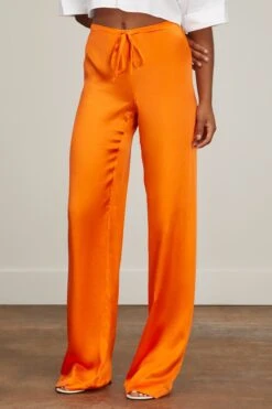 Palazzo Pant In Orange 8 Palazzo Pant In Orange -All Seasons Style woera palazzo pant in orange 2